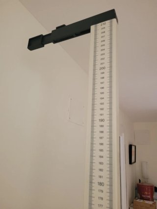 Tallímetro SECA