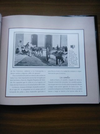 Libro "Recorriendo Tenerife"