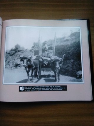 Libro "Recorriendo Tenerife"