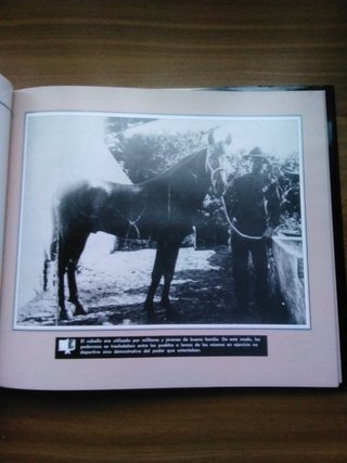 Libro "Recorriendo Tenerife"