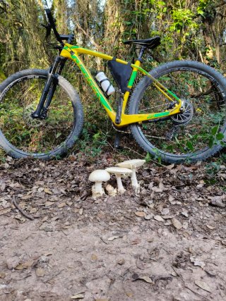 Bicicleta MTB Carbono Talla L