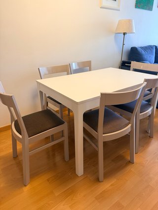 Mesa comedor y 6 sillas