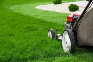 Mantenimiento y jardinería