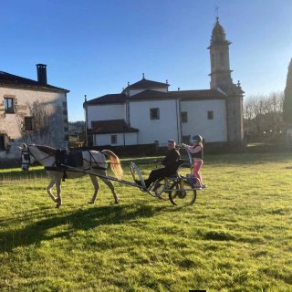 Carrito para caballo