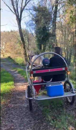 Carrito para caballo