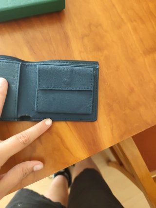 Cartera Goyard Multicolor