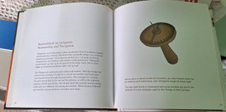 Libro THE VIKINGS