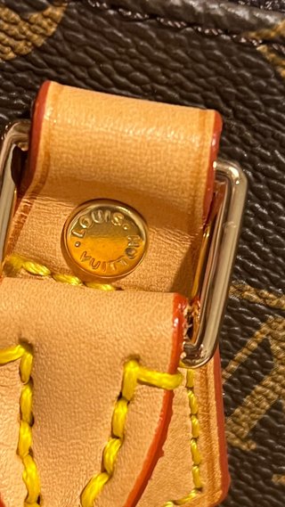 Borsa Louis Vuitton Speedy Beige/Marrone