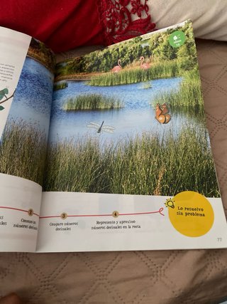 Libro de matematicas de 5 de primaria
