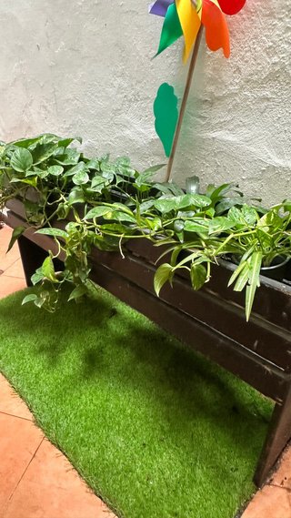 Macetero de madera con plantas y cesped