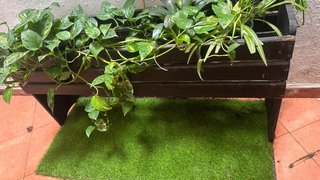 Macetero de madera con plantas y cesped