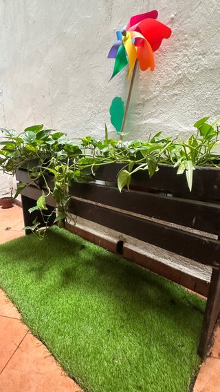 Macetero de madera con plantas y cesped