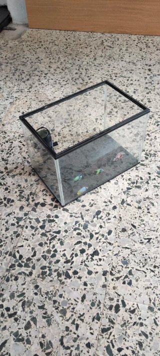 Acuario con filtro
