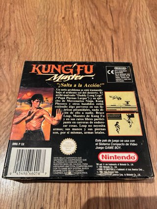 Kung Fu Master Game Boy Nintendo