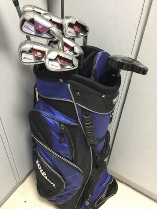 Set de Golf Wilson D250
