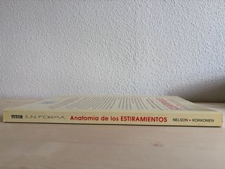 Anatomía de los estiramientos