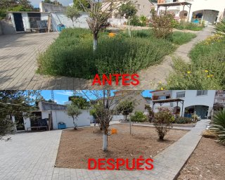 ⭐⭐⭐⭐⭐JARDINERO (CUNIT)