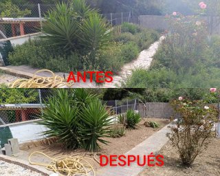 ⭐⭐⭐⭐⭐JARDINERO (CUNIT)