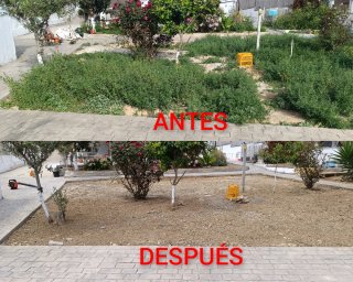 ⭐⭐⭐⭐⭐JARDINERO (CUNIT)