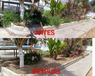 ⭐⭐⭐⭐⭐JARDINERO (CUNIT)