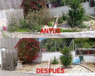 ⭐⭐⭐⭐⭐JARDINERO (CUNIT)