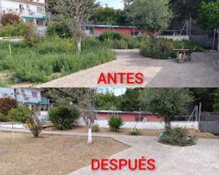 ⭐⭐⭐⭐⭐JARDINERO (CUNIT)