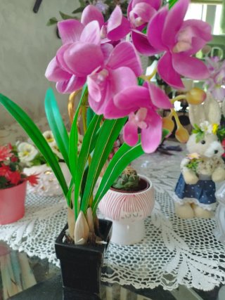 3 Piante Artificiali Decorative 8€ ciascuna