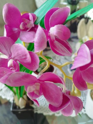 3 Piante Artificiali Decorative 8€ ciascuna