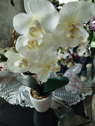 3 Piante Artificiali Decorative 8€ ciascuna