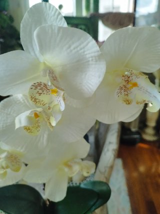 3 Piante Artificiali Decorative 8€ ciascuna