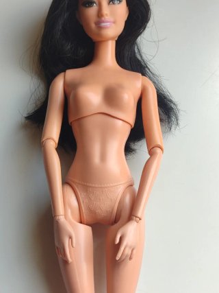 Barbie Raquelle Fashionista Muñeca