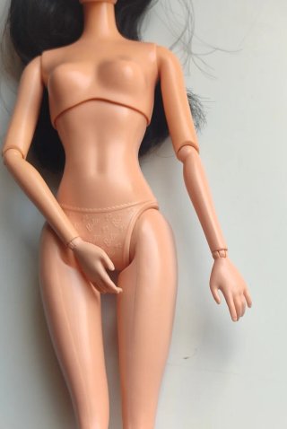 Barbie Raquelle Fashionista Muñeca