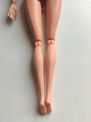 Barbie Raquelle Fashionista Muñeca