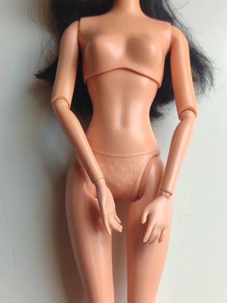 Barbie Raquelle Fashionista Muñeca