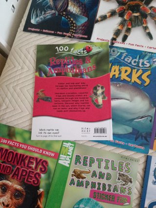 Lote de 15 libros de animales en inglés