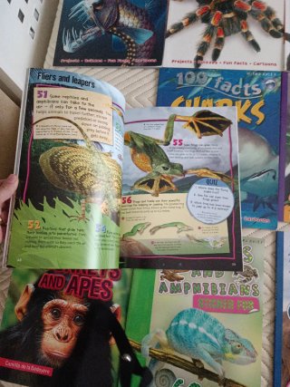 Lote de 15 libros de animales en inglés
