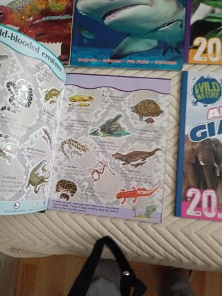 Lote de 15 libros de animales en inglés