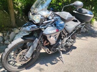 Triumph Tiger 800 XCX 2015