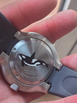 Citizen Eco-Drive Reloj de Buceo