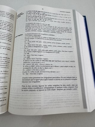 Diccionario avanzado francés