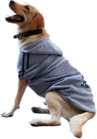 Chándal para perro Adidas Talla 8XL