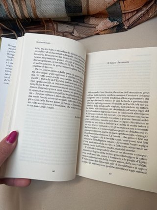 Libri