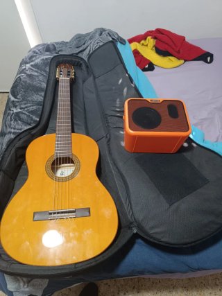 Guitarra acústica con electrónica Fishman