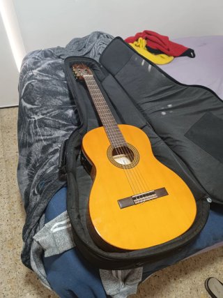 Guitarra acústica con electrónica Fishman