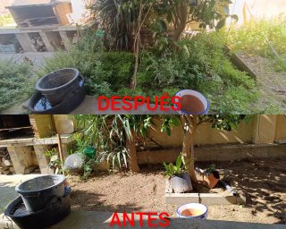 JARDINERO (CUNIT)