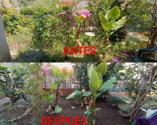 JARDINERO (CUNIT)