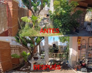 JARDINERO (CUNIT)
