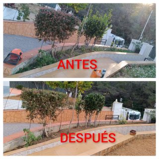 Servicio de jardinería