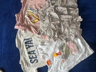 Lote Ropa Verano Bebé Niña 18-24 Meses