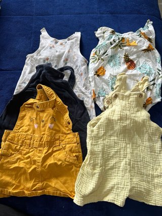 Lote Ropa Verano Bebé Niña 18-24 Meses